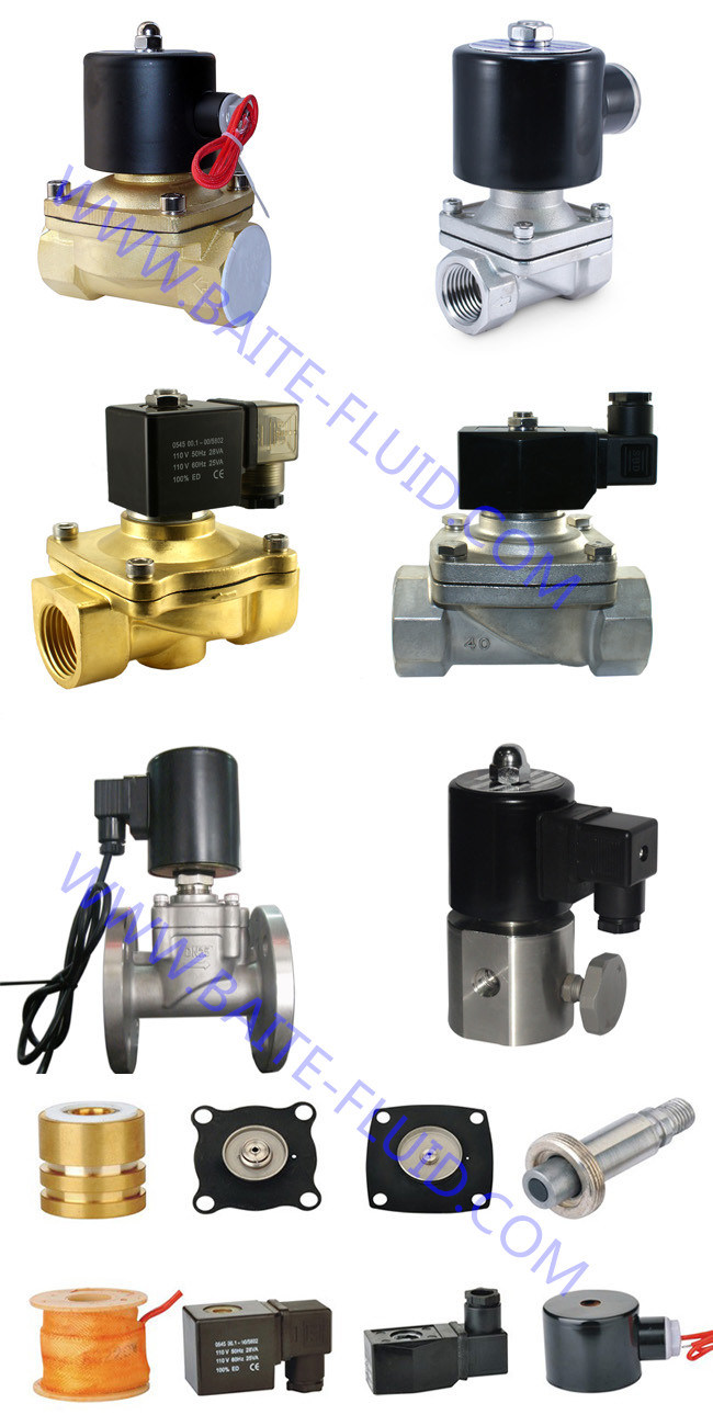 2 Way 2 Position 2 Port 2 Inch 2W500-50 Air Brass Solenoid Valve for DC24V DC12V