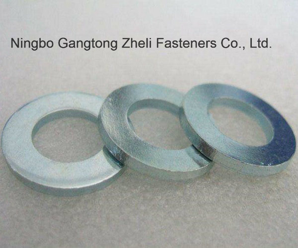Free Sample Fasteners Stainless Steel DIN125 Flat Washer