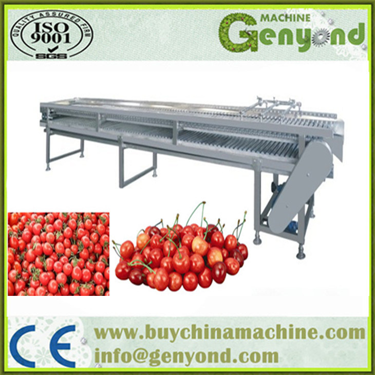 Stainless Steel Fruit Sorting Machine