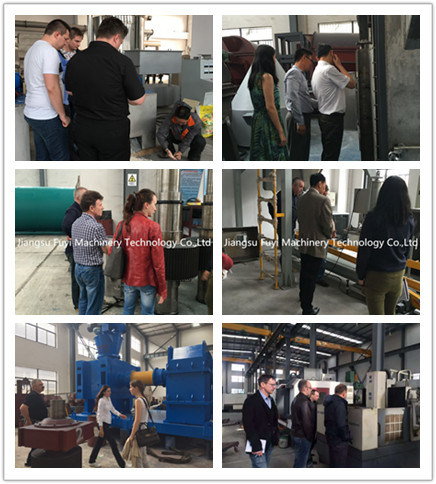 Factory price sepiolite granulating /granulator machine