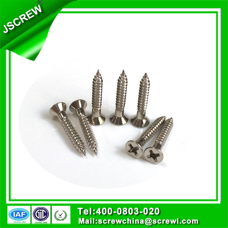 Special Customized Stainless Steel Flat Head Self Tapping Screw