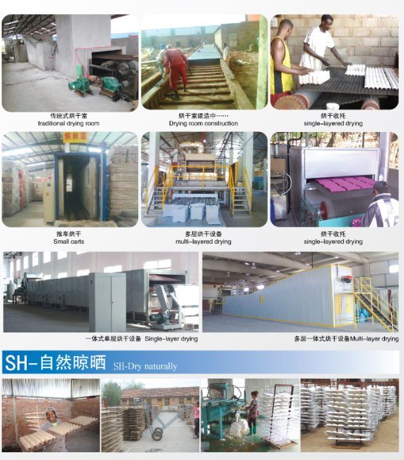 Pulp and Paper Processing Machine Making Egg Tray Egg Box Fruit Tray industrial Tray