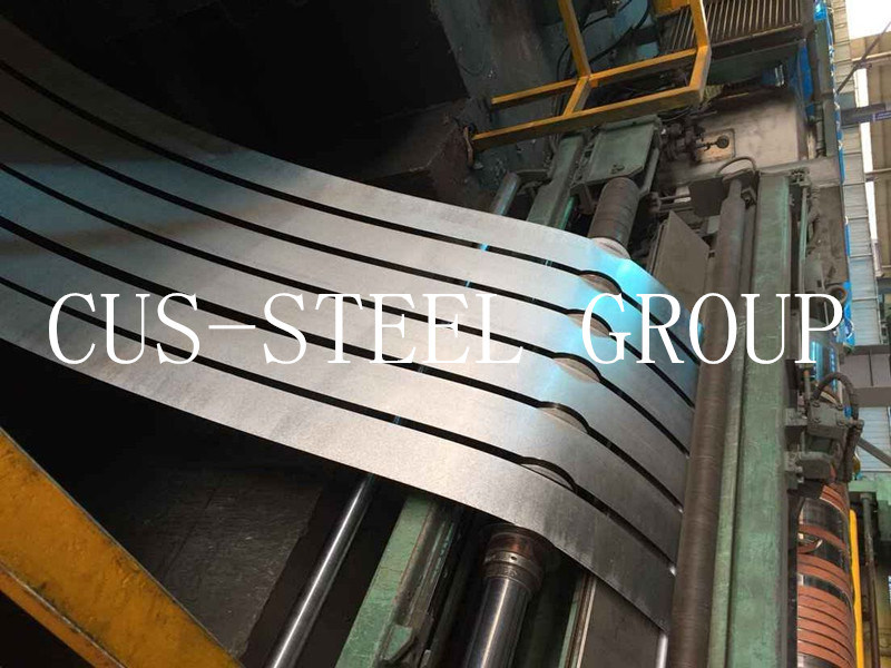 Z275g Hot Dipped Galvanized Steel Coil/Galvanized Steel Strip
