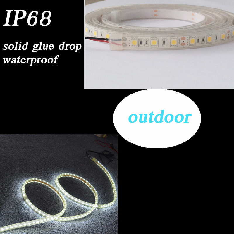 IP20 SMD3528 5050 LED Strip Light