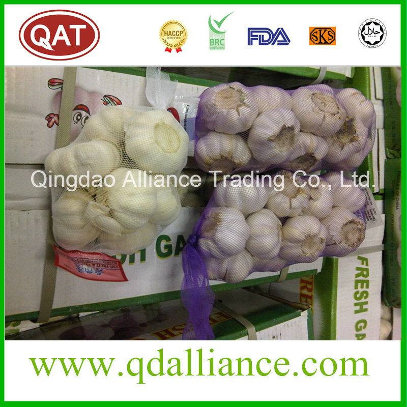 Fresh Pure White Garlic From 2016 New Crop