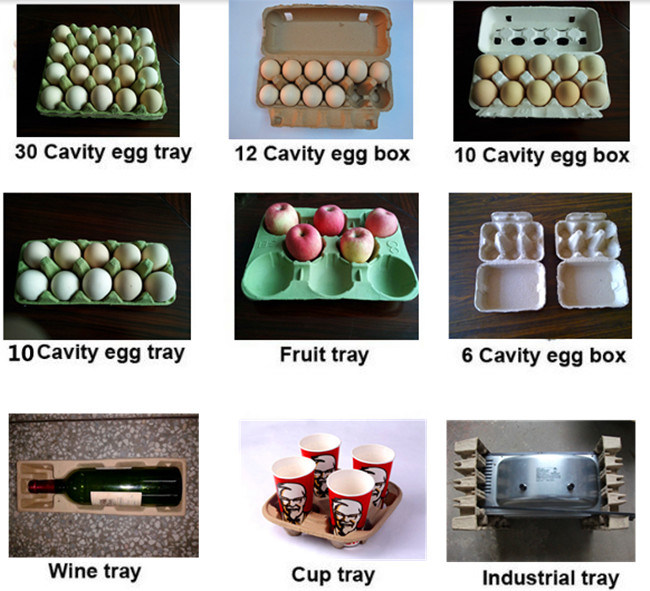 High Performance Paper Plate Machine/ Egg Tray Manufacturing machinery