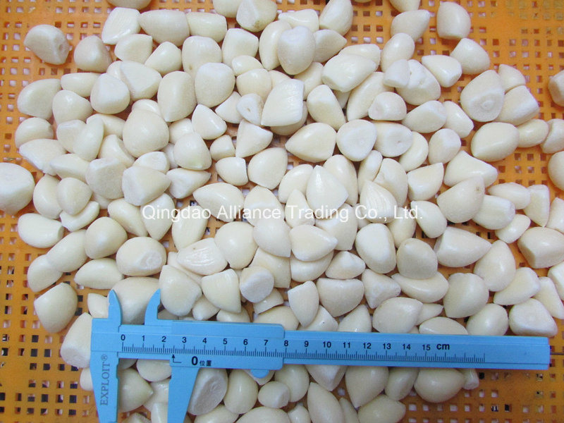 Fresh Frozen IQF Peeled Garlic with FDA Certificate