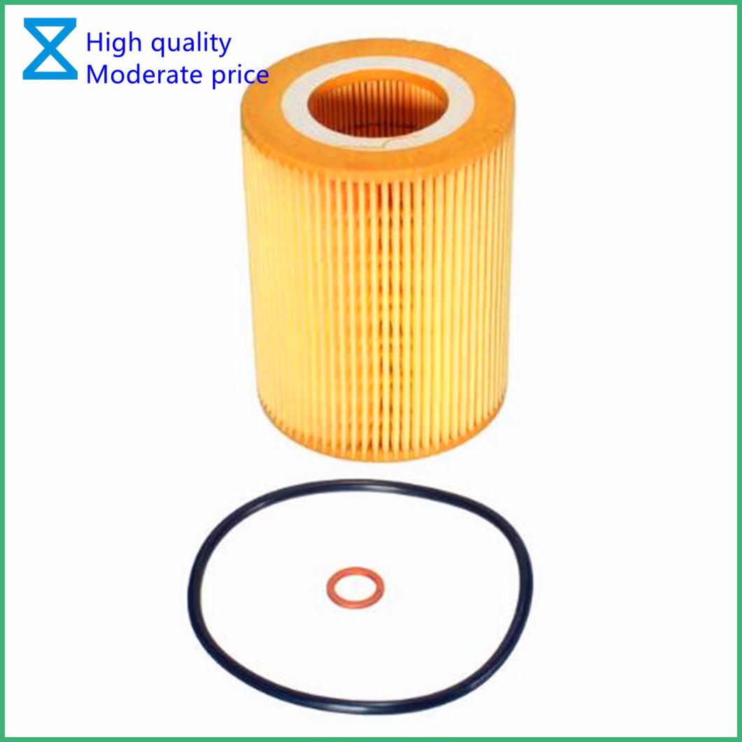 High Quality OEM/ODM Professional Factory Providing Oil Filter for BMW 3/5/7 Series