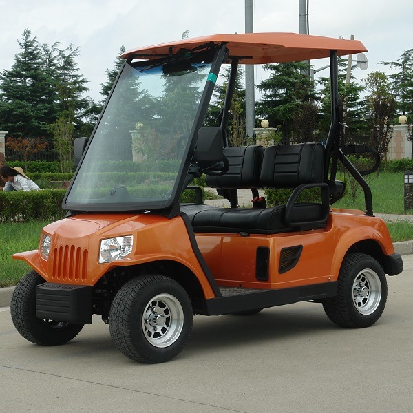 Mini 2 Seats Street Legal Golf Cart with Ce (DG-LSV2)