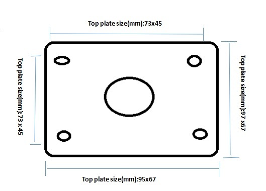 4 Inch Fixed Stainless Steel PP/Nylon Castor Wheel