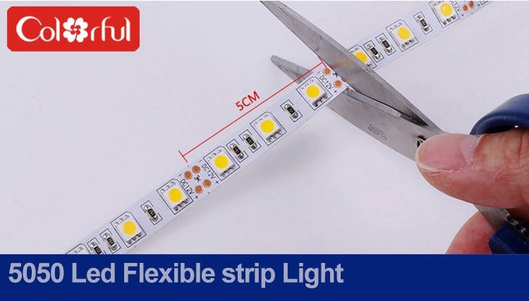 Long Life High Quality SMD5050 Lamp DC12V LED Strip Light