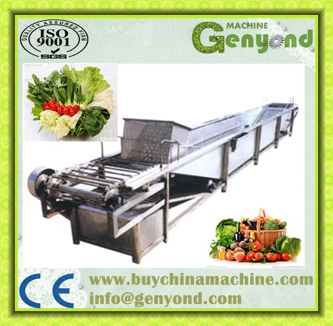 Green Vegetables Washing & Blanching Processing Line