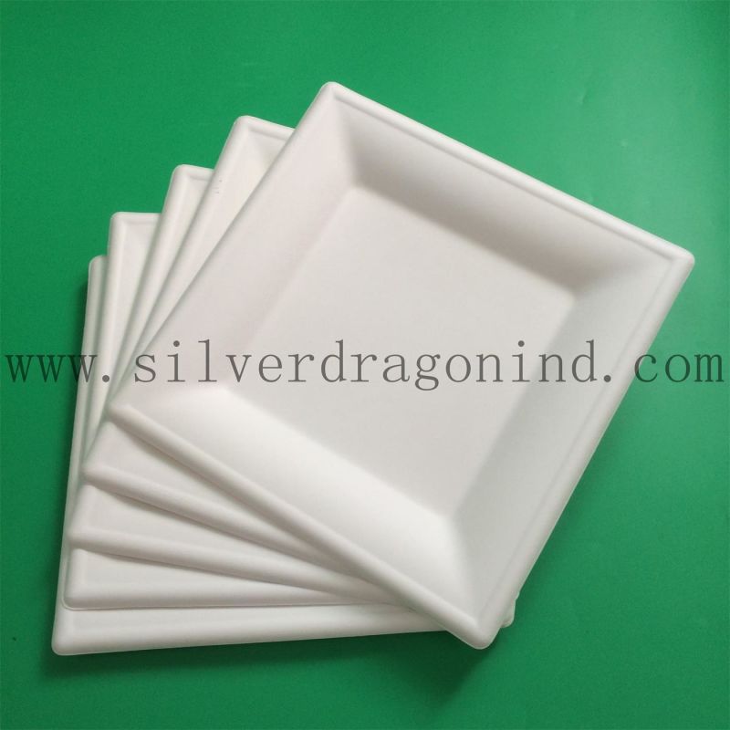 Biodegradable Sugarcane Pulp Paper Bowl, Disposable Bowl