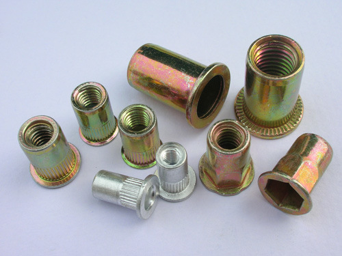 All Size Stainless Steel 304 Zinc Plating Rivet Nut