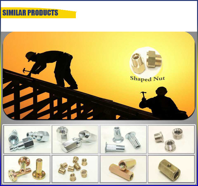 OEM Cooper/Colored Steel Nut with Low Price