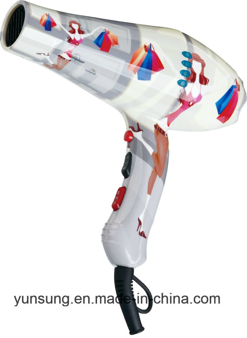 Hair Dryer Professional Products with Hair Diffuser (YS-6721)