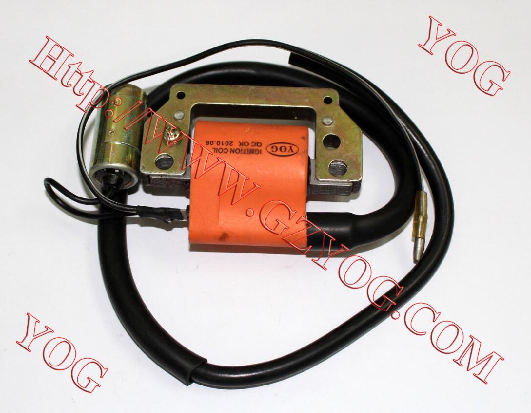 Motorcycle Parts Ignition Coil Ignition Comp. for Cg125/150