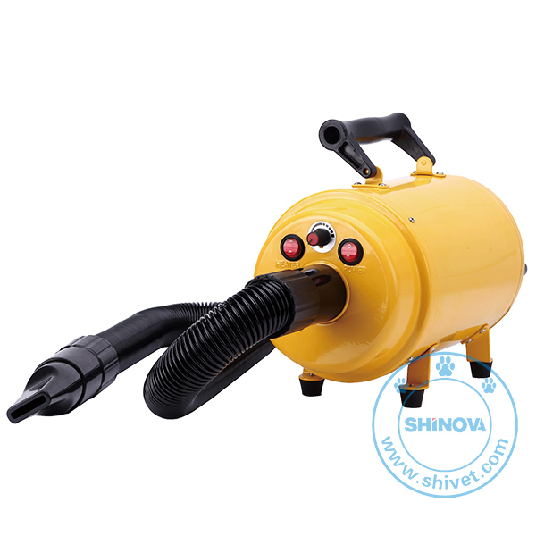 1-Motor Pet Dryer (DY-901)