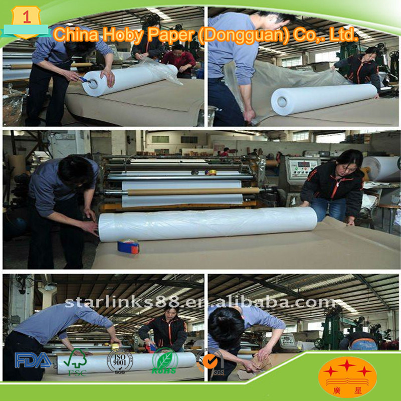 Heat Transfer Paper Rolls Textile Printing