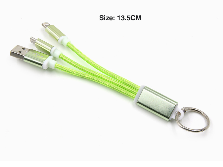 Charging+Data Transfer 2 in 1 Mini USB Cable with Nylon Braid