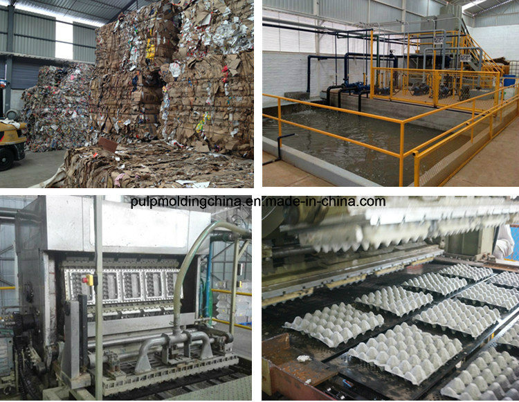 Paper Pulp Moulding Machine Making Disposable Egg Packaging Tray