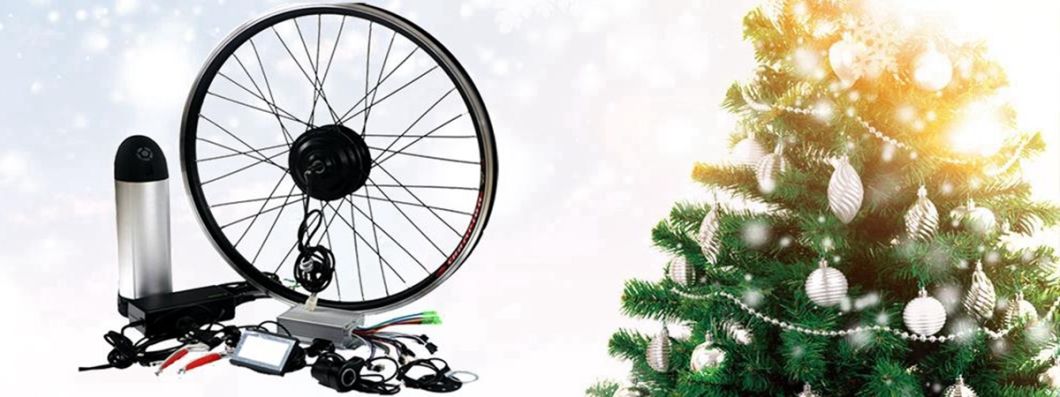 Agile 36V 500W Wheel Motor Electric Bike Kit with Battery