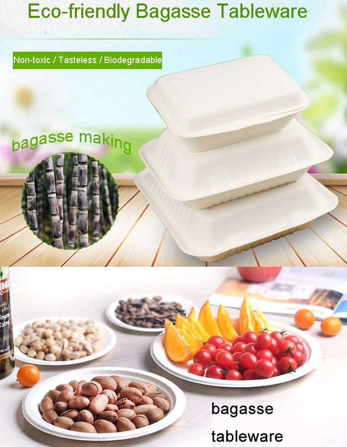 9 Inch 3 Compartment Round Eco-Friendly Sugarcane Trays Plate