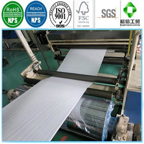 Double PE Coated Paper for Making Paper Cups