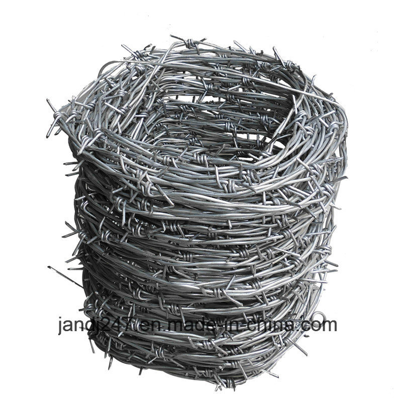 PVC Coated Hot Dipped Galvanized Barbed Wire