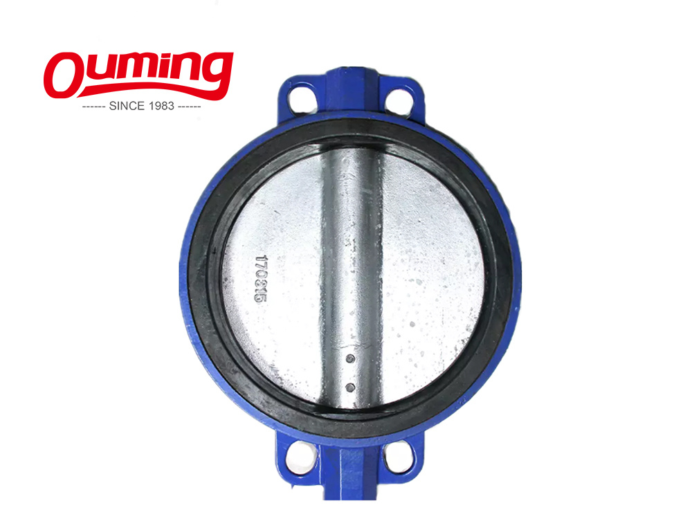 Dn40 Pn10 High Quality Stainless Steel Manual Operated Butterfly Valve
