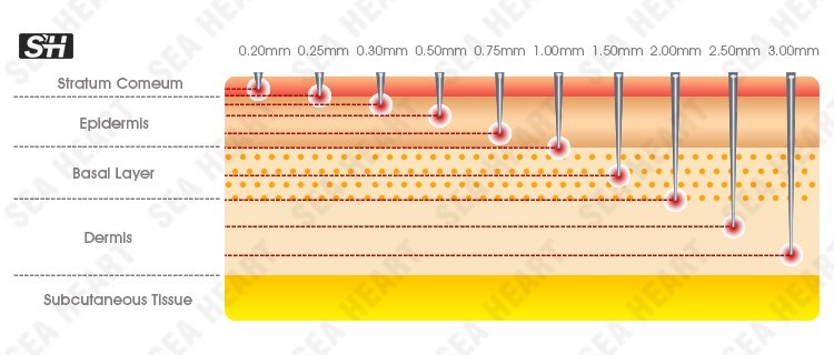 Factory Wholesale Titanium / Stainless Steel 120 Microneedles Derma Skin Roller