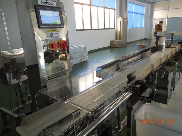 Weight Sorting Conveyor Scales From Shanghai