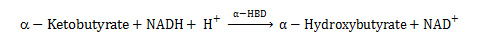 Alpha-Hydroxybutyrate Dehydrogenase (alpha-HBD) Assay Kit/Test Kit/Ivd Reagent/Diagnostic