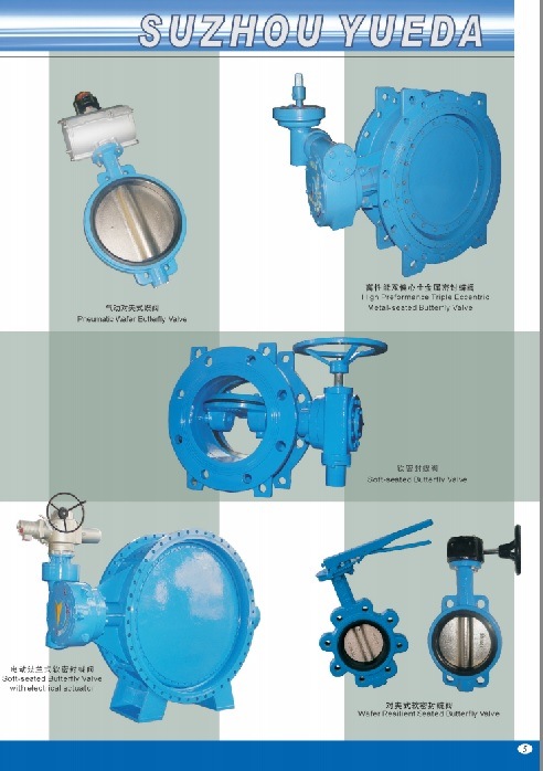 Butterfly Check Valve with Lever