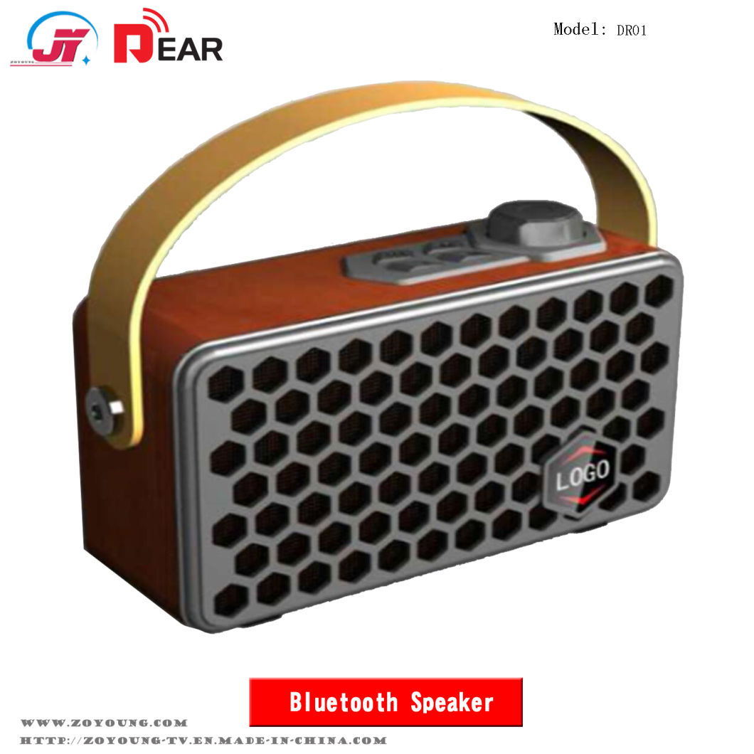 Portable Wooden Hive Outdoor Bluetooth Speaker (DR01)