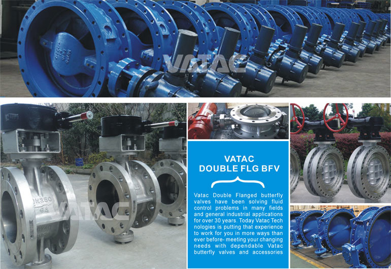 Gear Operated Stainless Steel CF8/CF8m/CF3/CF3m Double Flange Butterfly Valve