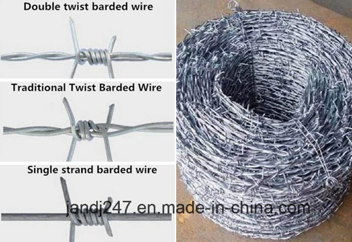 PVC Coated Hot Dipped Galvanized Barbed Wire