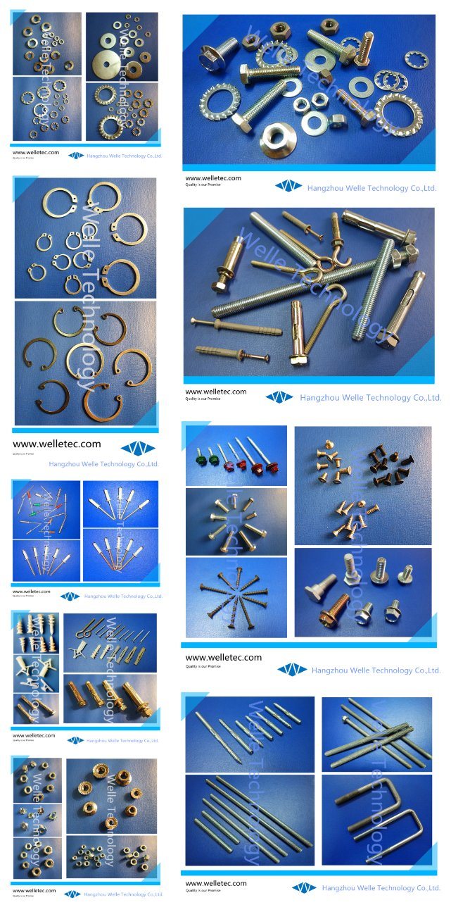 Sleeve Anchor, Wedge Anchor, Stud Anchor, Hollow Wall Anchor, Heavy Duty Shield Anchor, Tie Wire Anchor, Metail Hit Anchor, Metal Frame Anchor, Customized