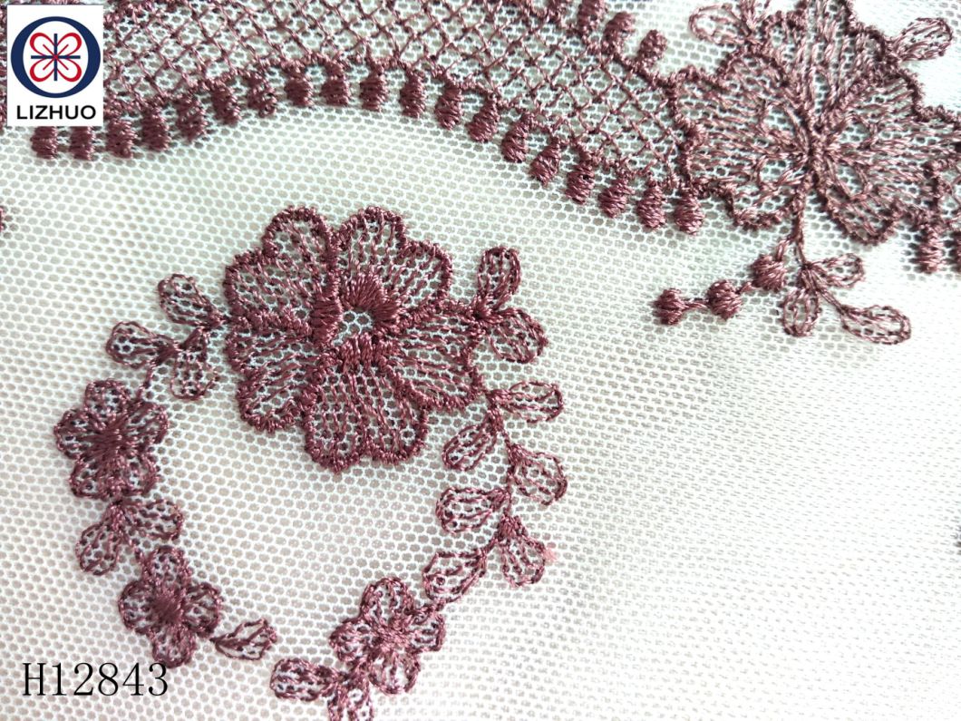 Delicate Mesh Embroidery Lace Tulle Embroidery Lace for Lingerie