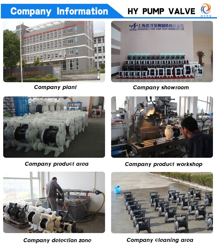 High Quality Portable Pneumatic Polyethylene Diaphragm Pump