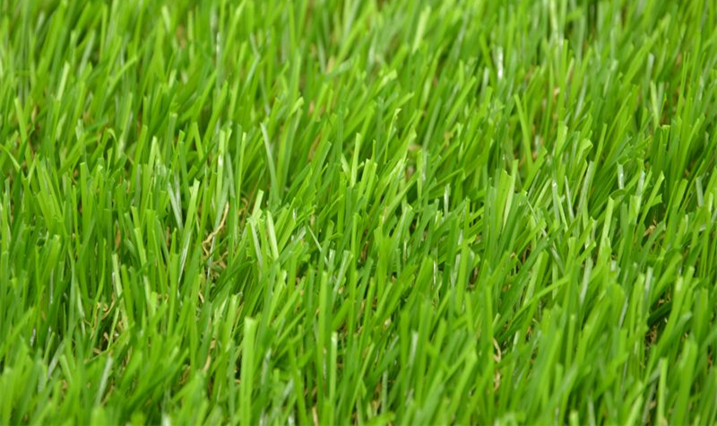 CS Economy Competitive Prices Artificial Plastic Grass