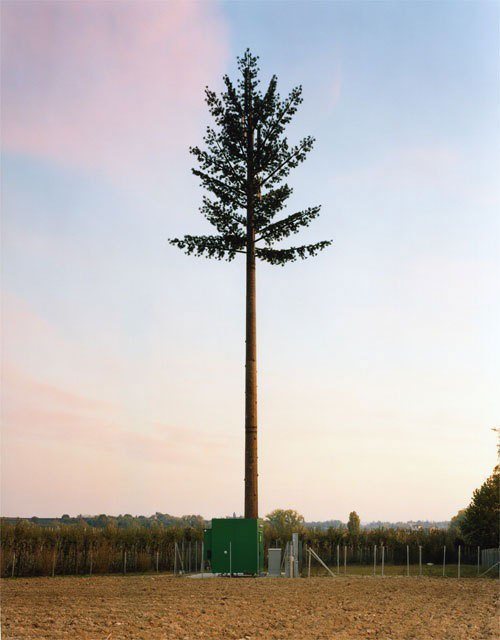 Steel Tube Fake Tree Communication Tower