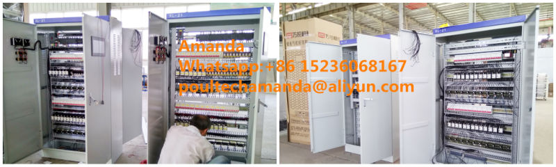 Automatic Good Price & Quality H Frame Type Layer Cage Equipment