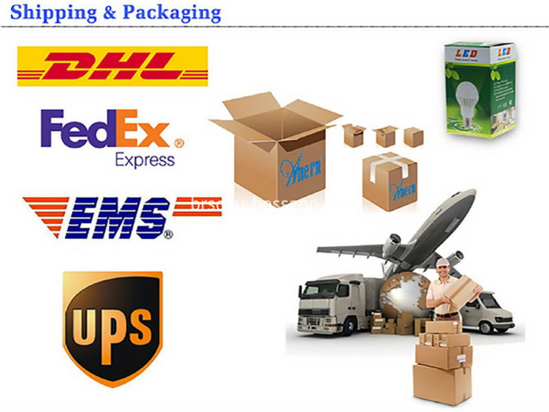 Shipping Shipping
