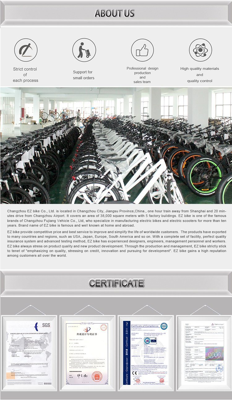Green Power 48V Fat Electric Bike for Europe Market