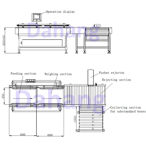 Hbm Loadcell Checkweigher with High Accuracy