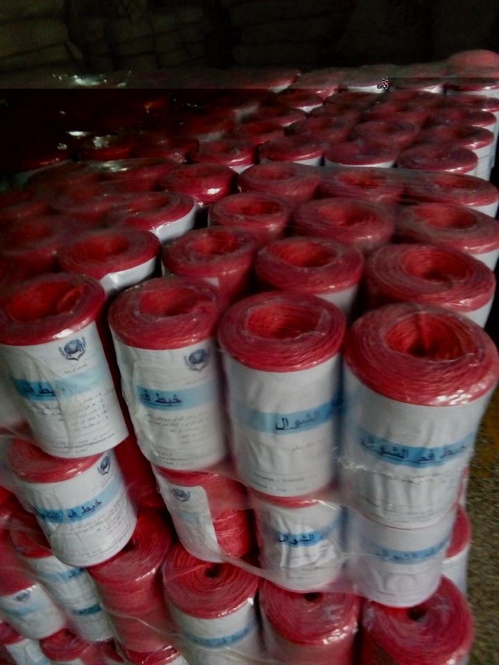 Widely-Used PP Straw Twine From Longtai