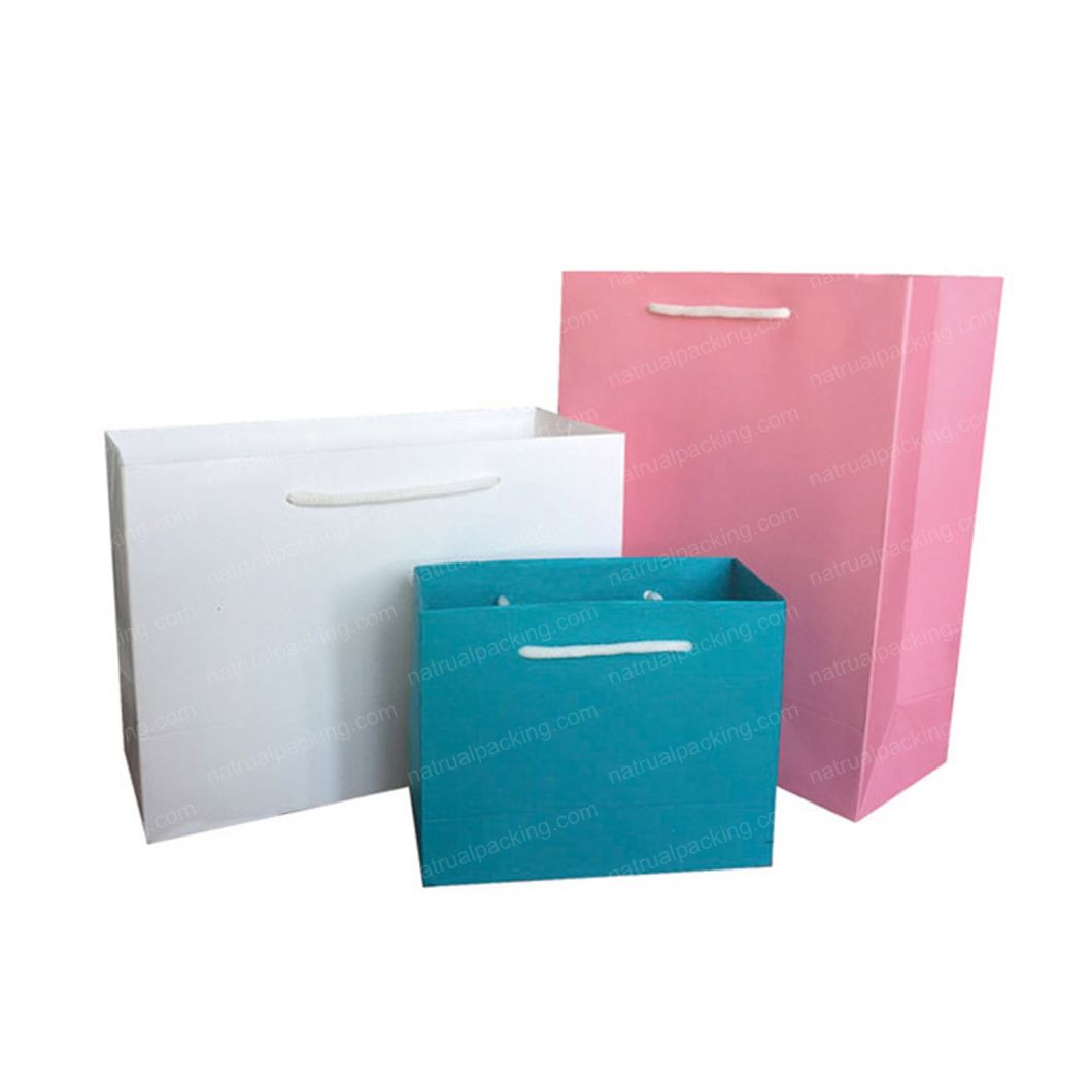 Luxury Promotional Fashion Packaging Packing Shopping Women Paper Hand Bag