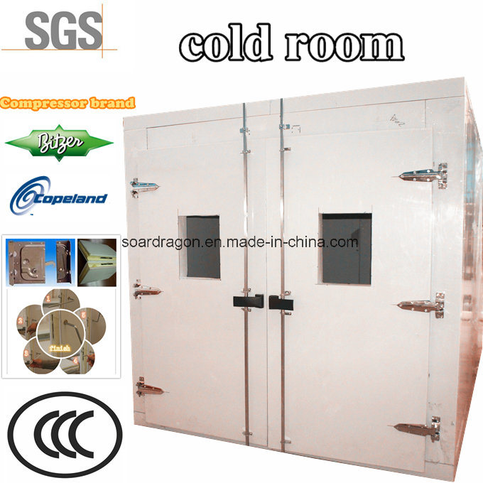 Modular Standard Cold Room for Meat and Vegetable