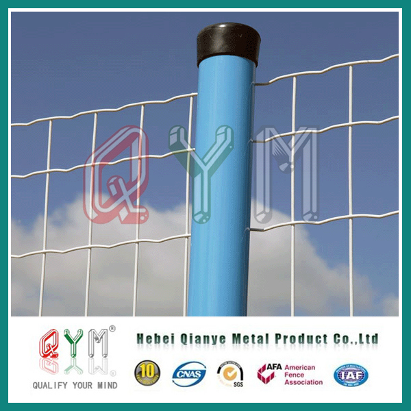 PVC Coated Holland Wire Mesh/ Welded Wire Mesh Euro Fencing